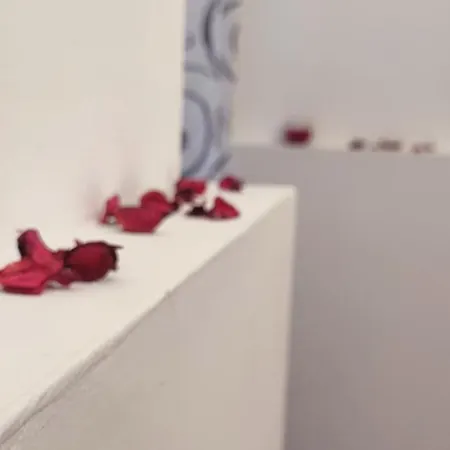 Palazzo Cantu' * 코라토